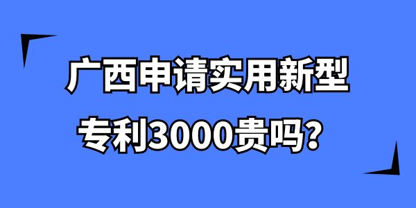 廣西申請實用新型專利3000貴嗎？