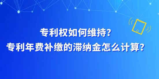 專利權(quán)如何維持？專利年費(fèi)補(bǔ)繳的滯納金怎么計(jì)算？