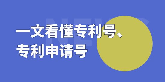 專利申請?zhí)柨梢圆榈綄＠枂?